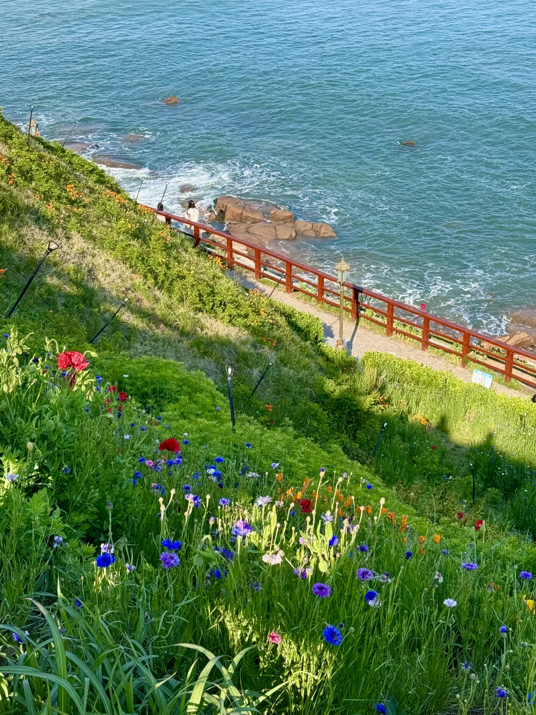📍青岛日记｜live图实况美到窒息（附机位）！