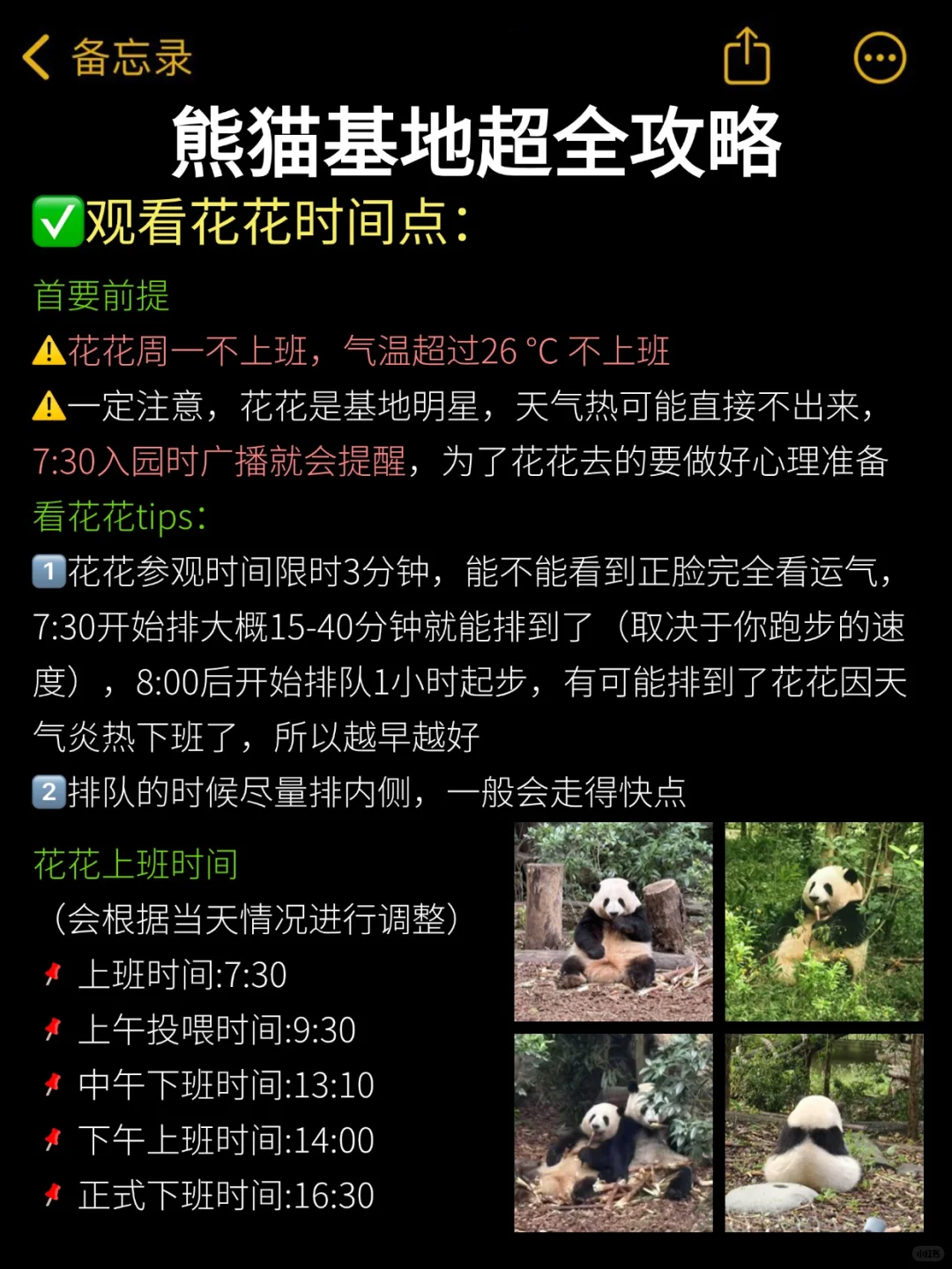 后悔‼️8-9月去熊猫基地🐼一定要做好攻略