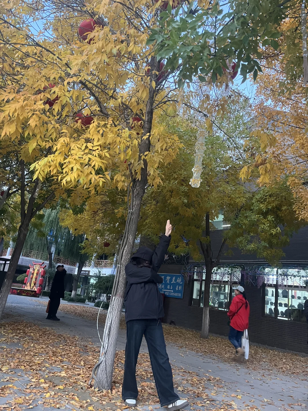 银川小众的旅游景点