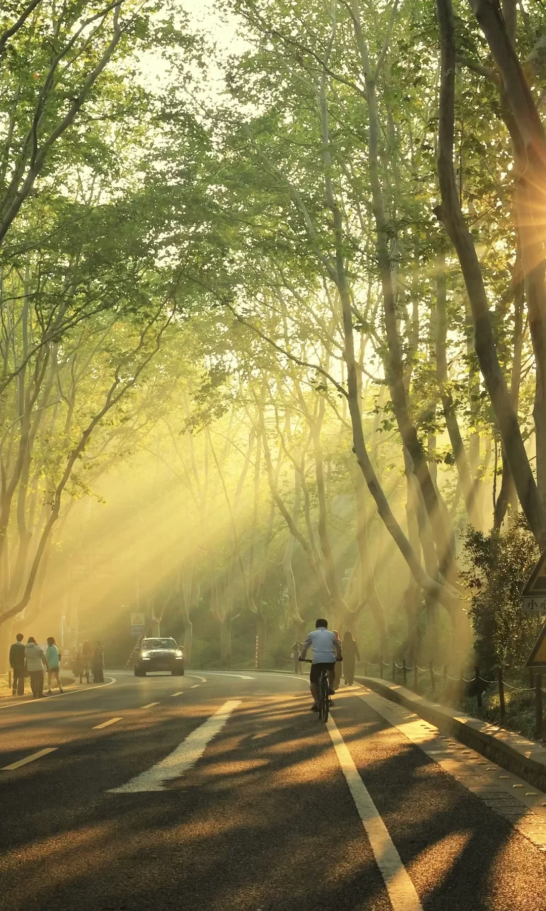 我夸南京一万遍，不及你来看一眼｜赏秋攻略❶