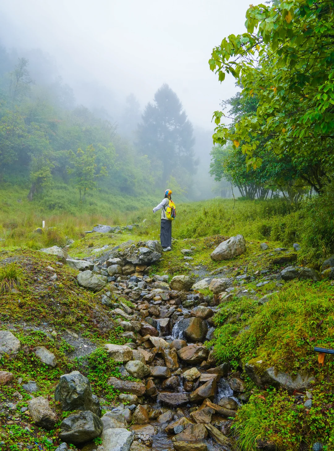 为了这18张图，我特意来了趟喇叭河！附机位