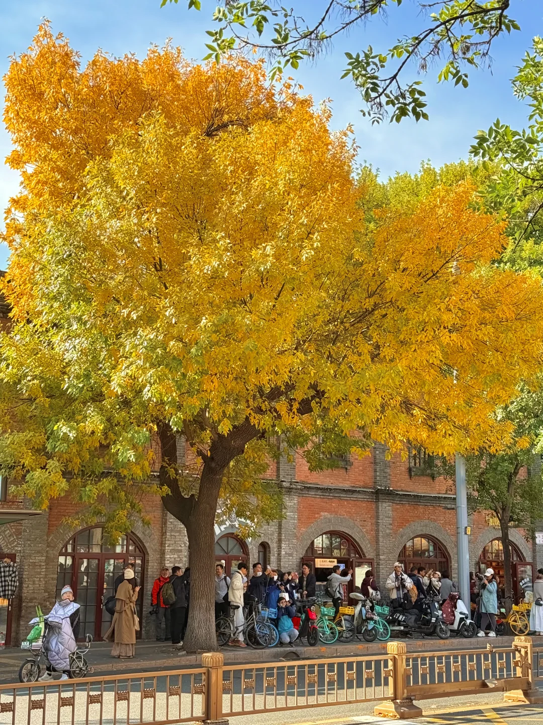 10.19实况🍂北京最新赏秋citywalk路线‼️