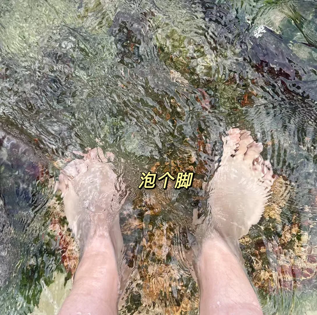 香港沉浸式回忆录&旅游攻略