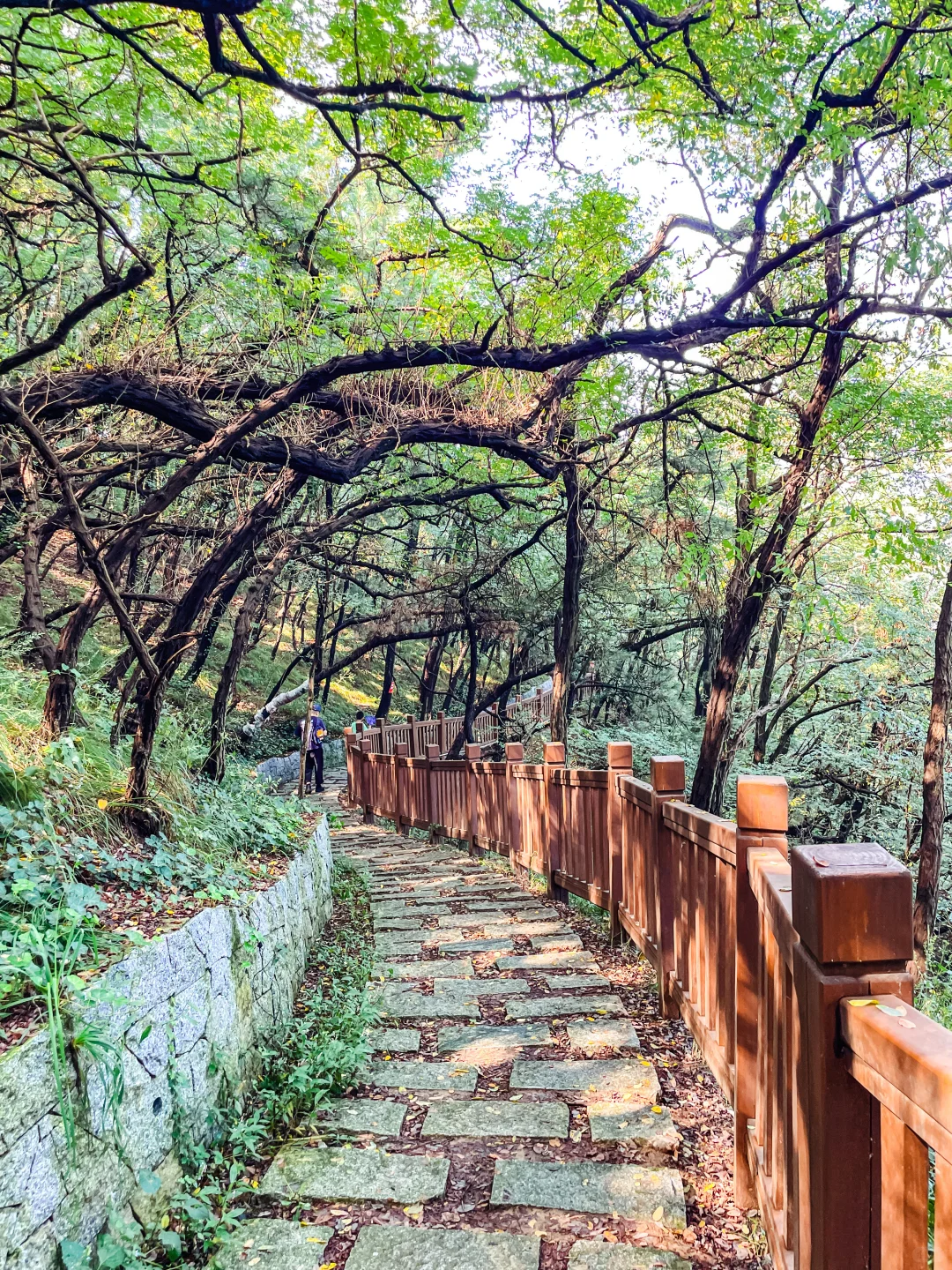 烟台周末娱乐打卡（14）：山海步道徒步