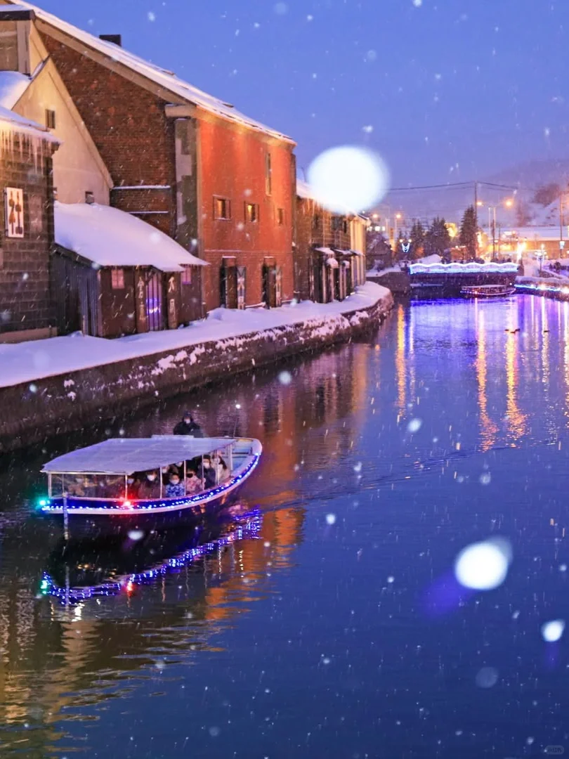 12-2月北海道❄️冬季旅游｜必打卡的9️⃣大景点