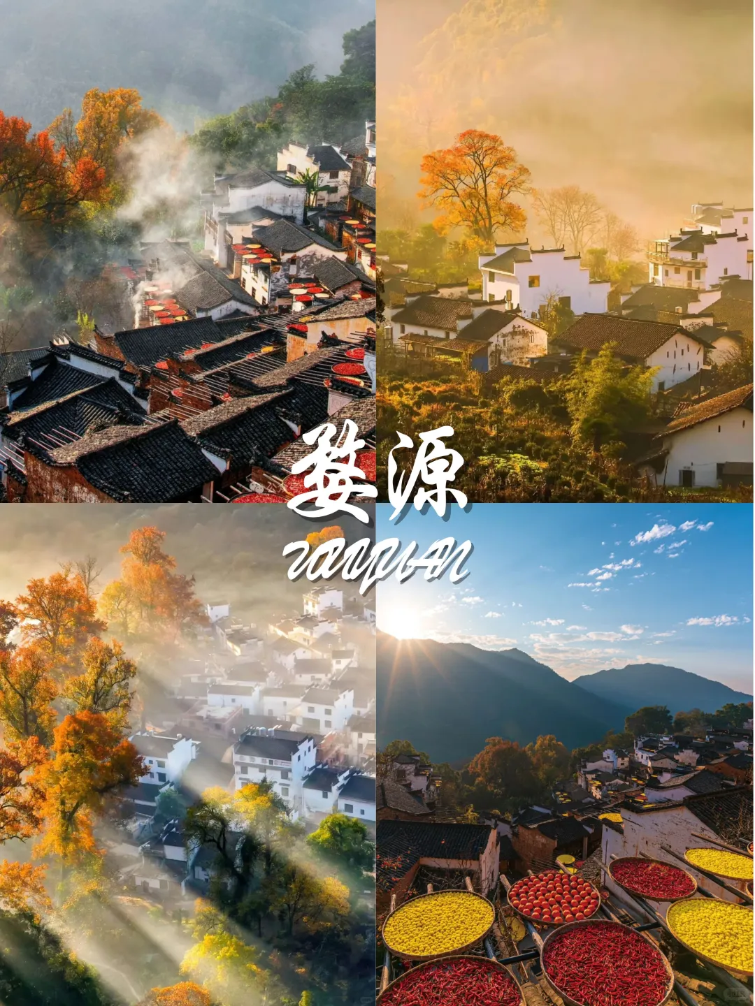 9-11月国内赏秋宝藏地推荐🍂 附观赏攻略