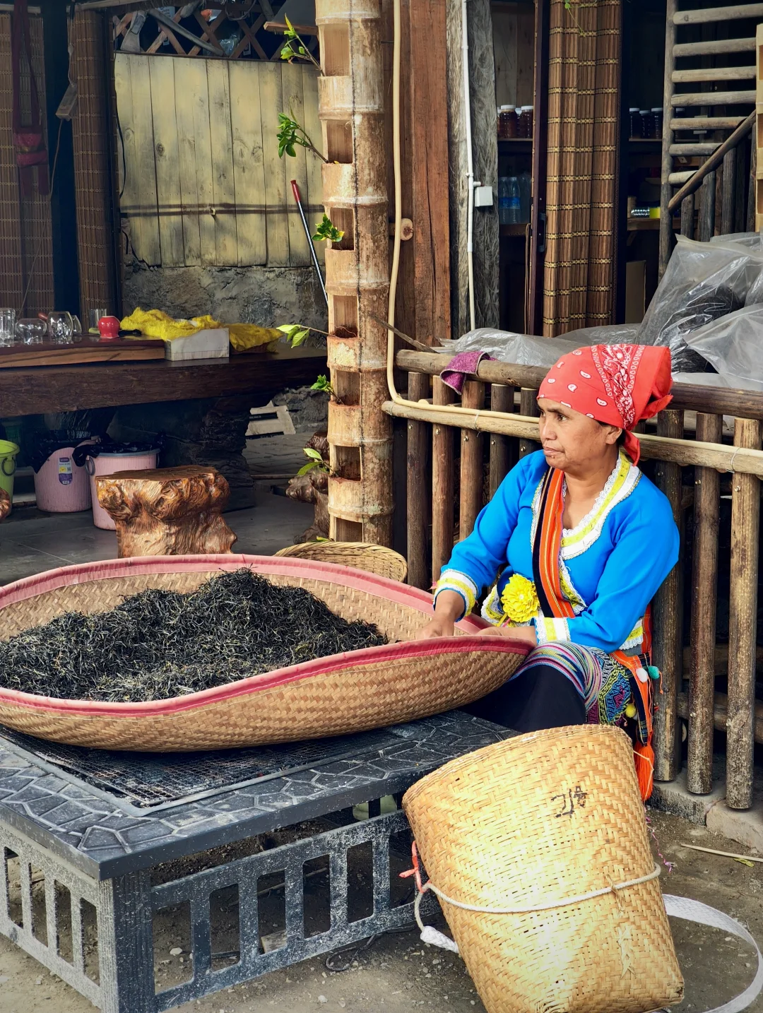 🌏国庆云南反向7日游❗昆明→弥勒→普洱🔥