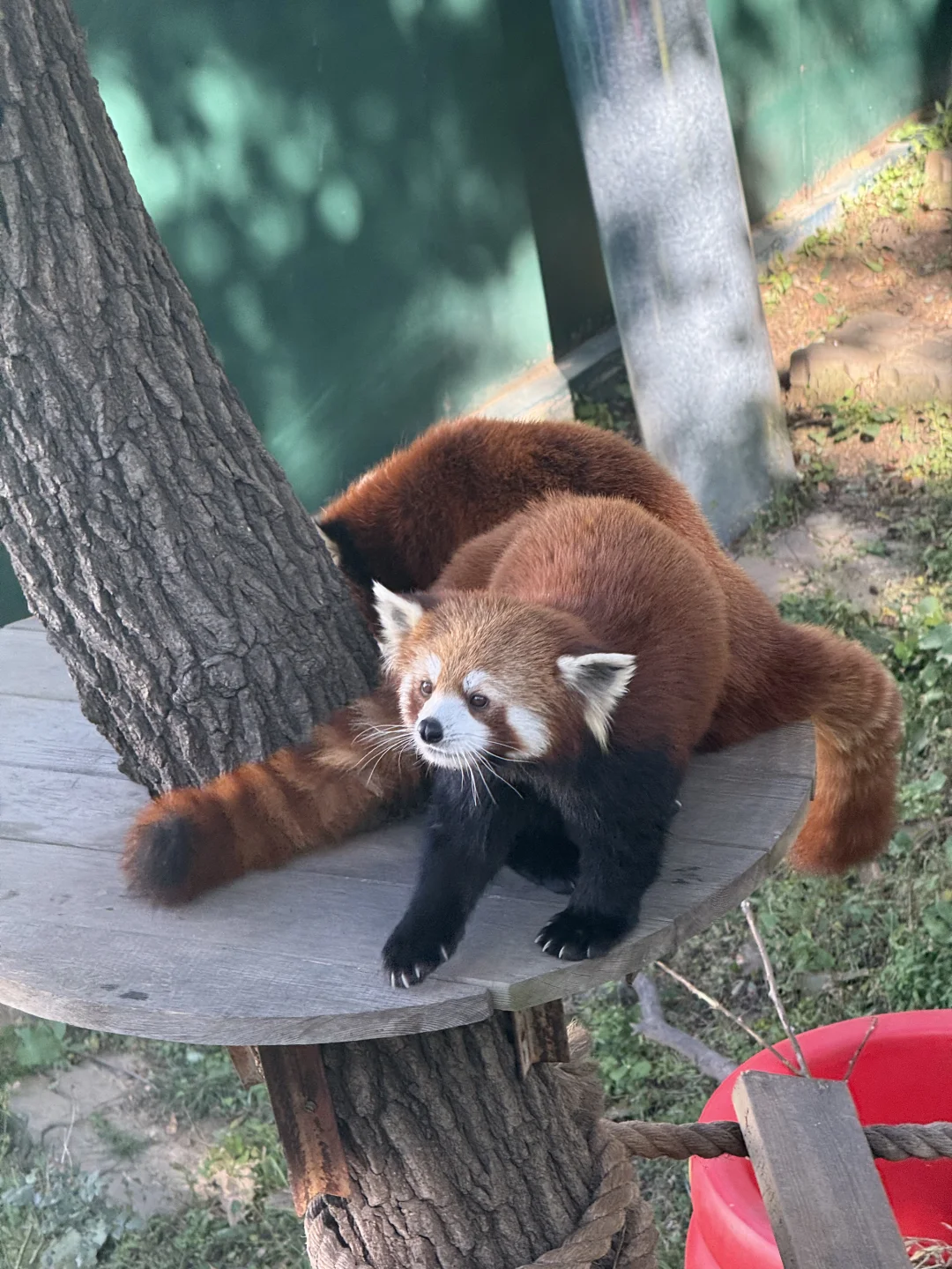 周末特种兵之大连