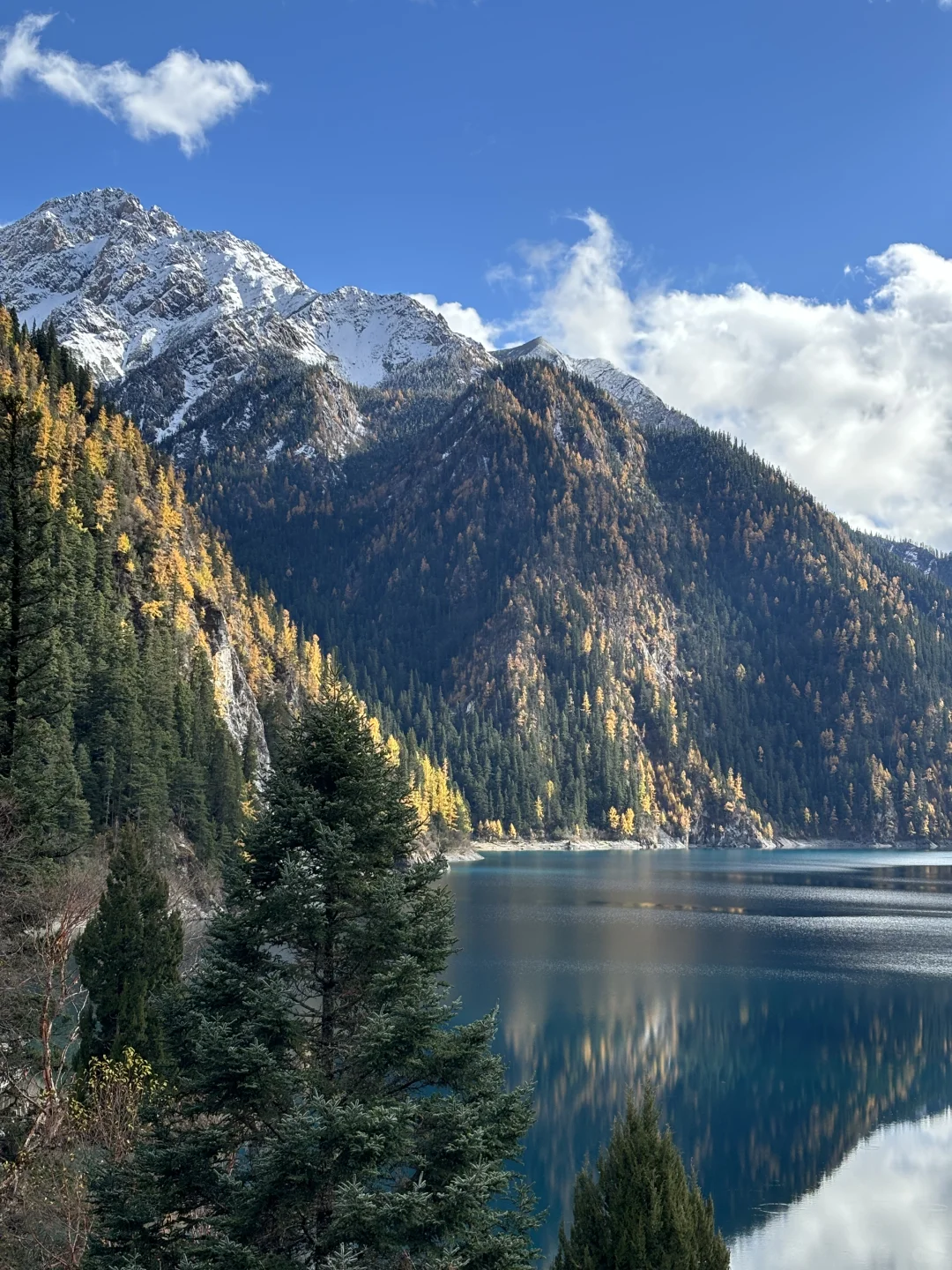 三天两夜九寨沟+黄龙旅游攻略 彩林季🍂