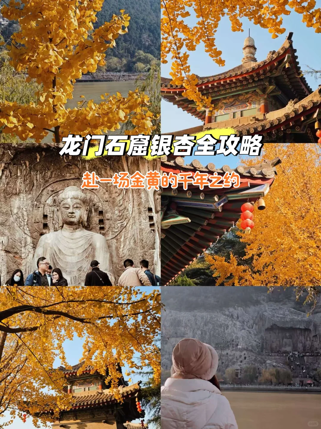 就在11🈷️被问爆的龙门石窟赏秋全攻略来啦