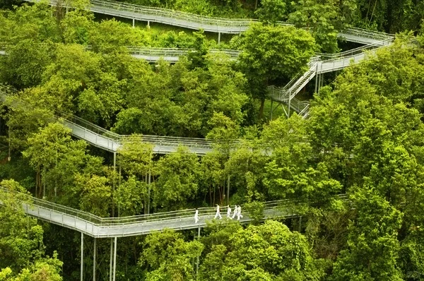 🇸🇬本地人都不想告诉你的10个免费景点!