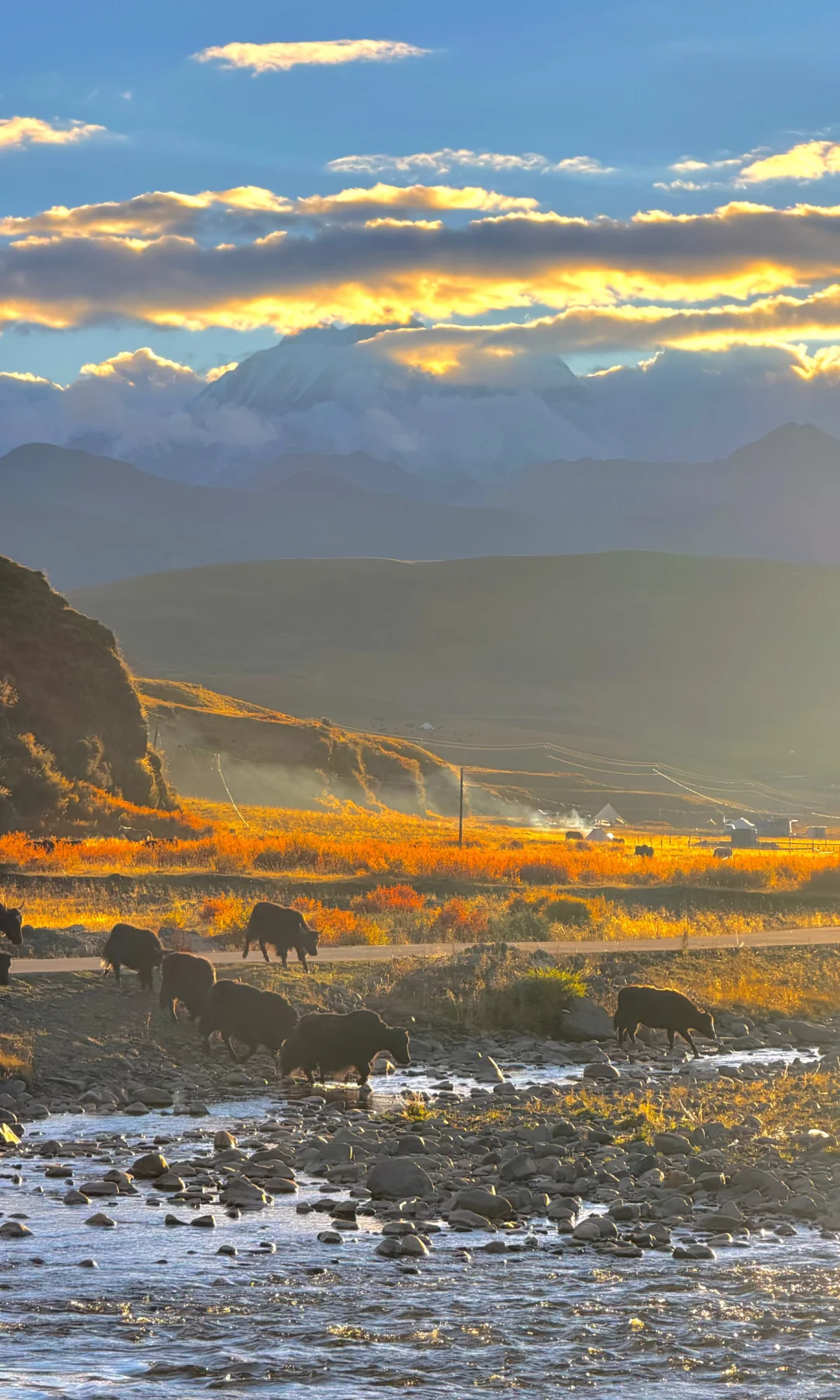 秋天川西第一天就这么美……后面该怎么办啊😭