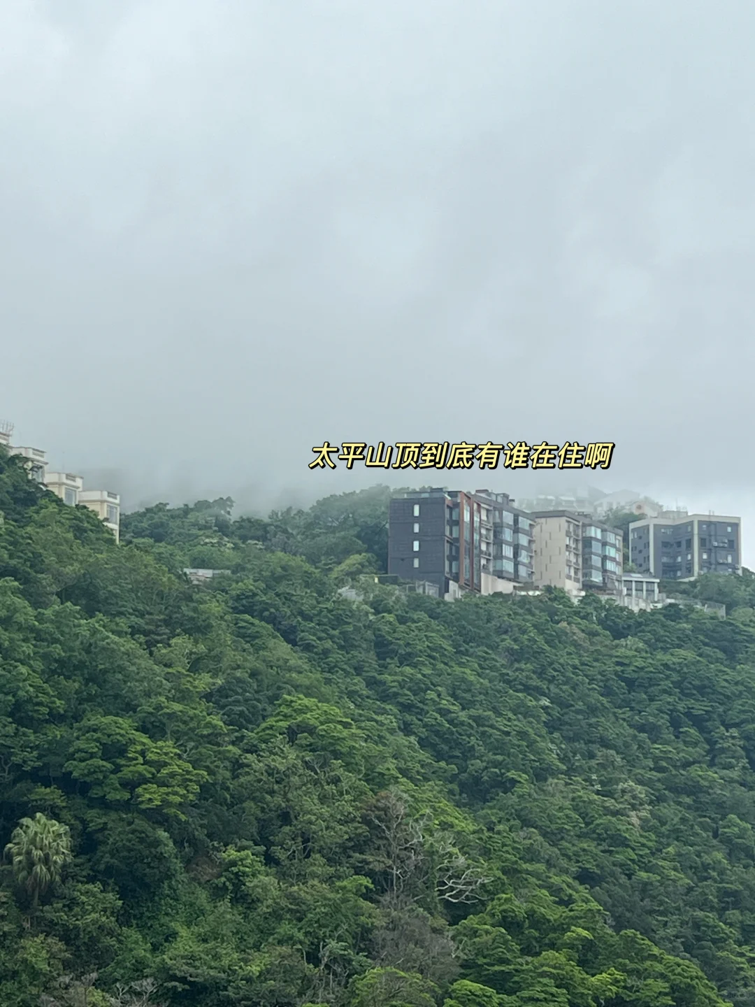 香港沉浸式回忆录&旅游攻略