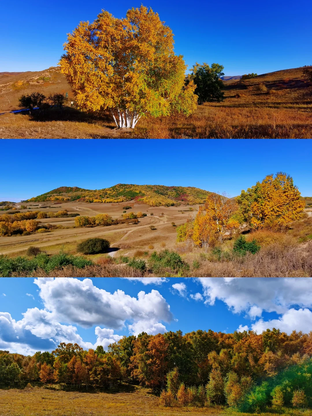 乌兰布统赏秋时间表,赏中国最美秋色!