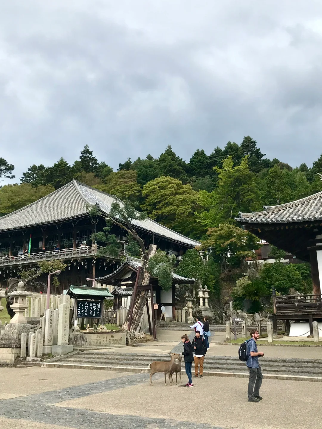 逛遍奈良景点只要一下午的旅游攻略来啦！