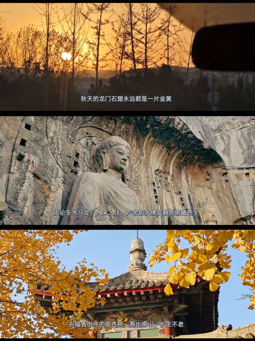 就在11🈷️被问爆的龙门石窟赏秋全攻略来啦