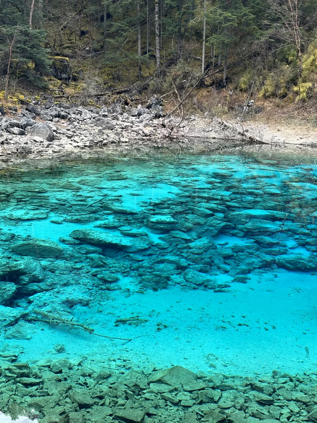 三天两夜九寨沟+黄龙旅游攻略 彩林季🍂