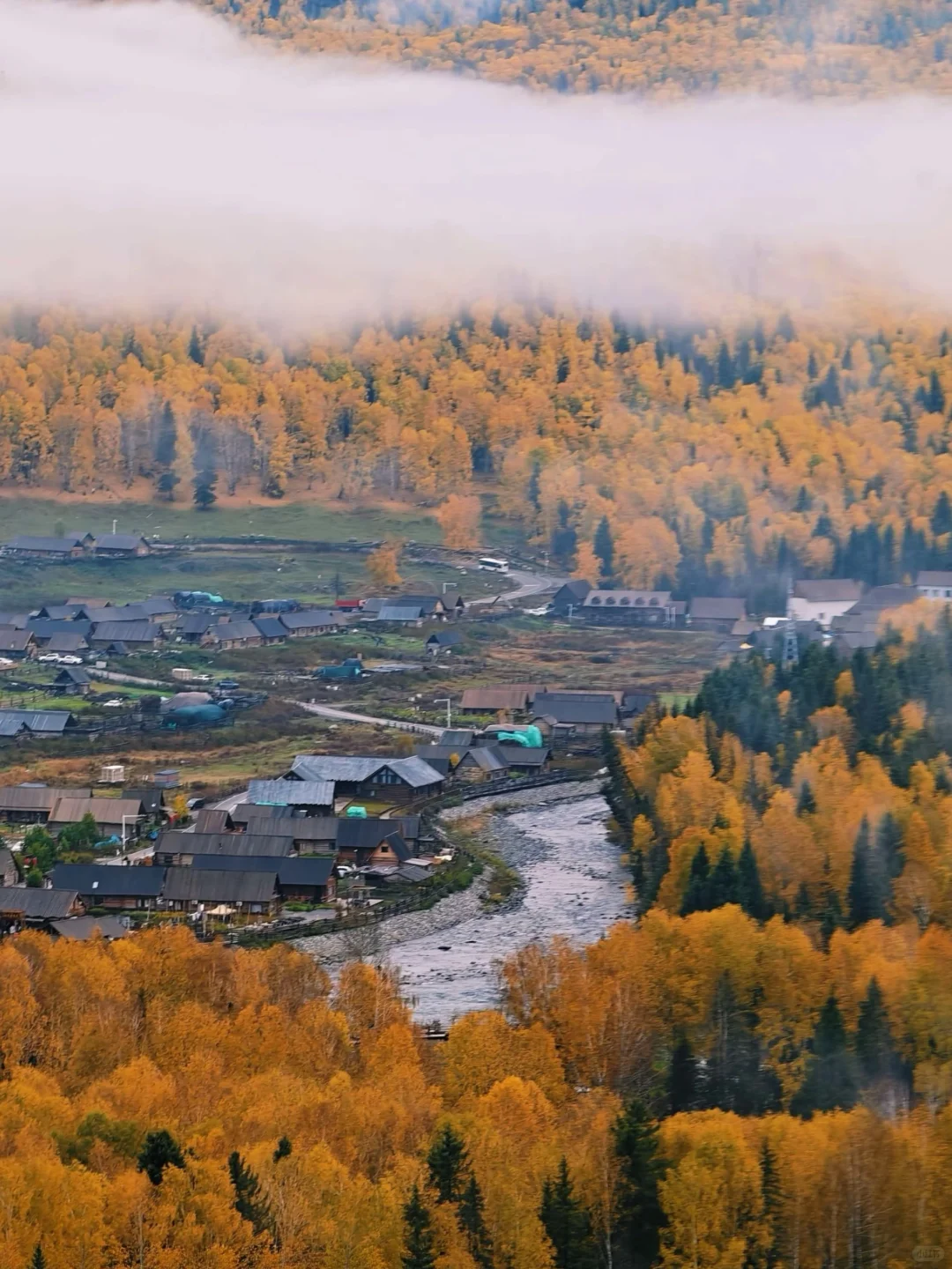 10-11月国内遛娃赏秋🍁不容错过的9大天花板