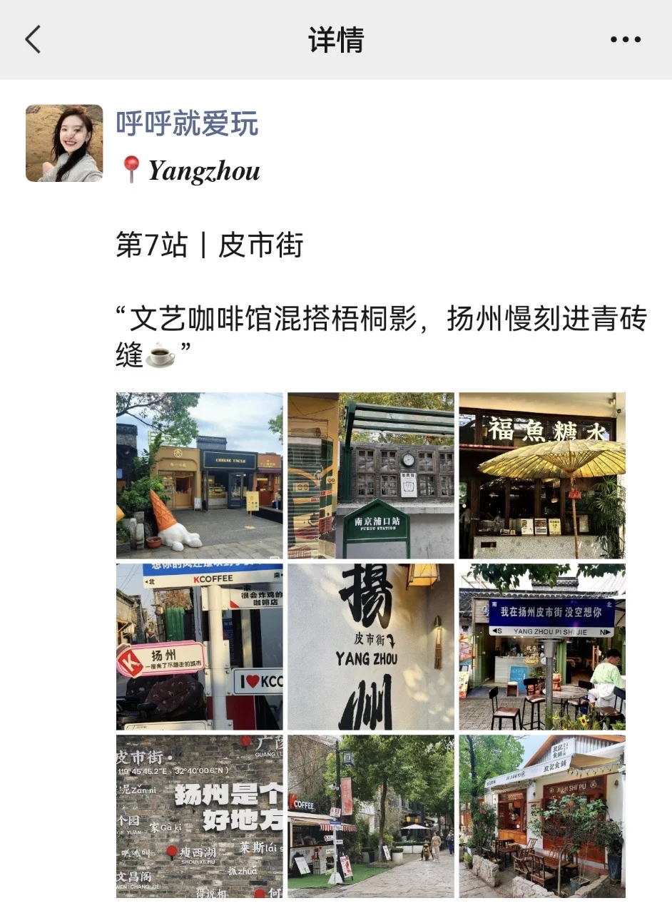 我说至于吗😅这姐去趟扬州发了9条朋友圈