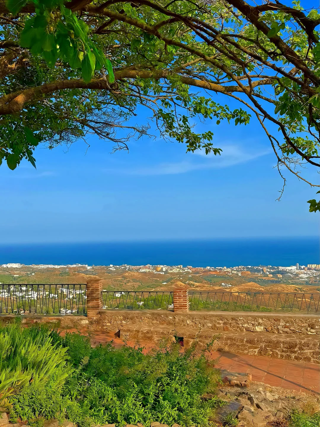 🍊这个秋冬去马拉加过橘子味的夏天！