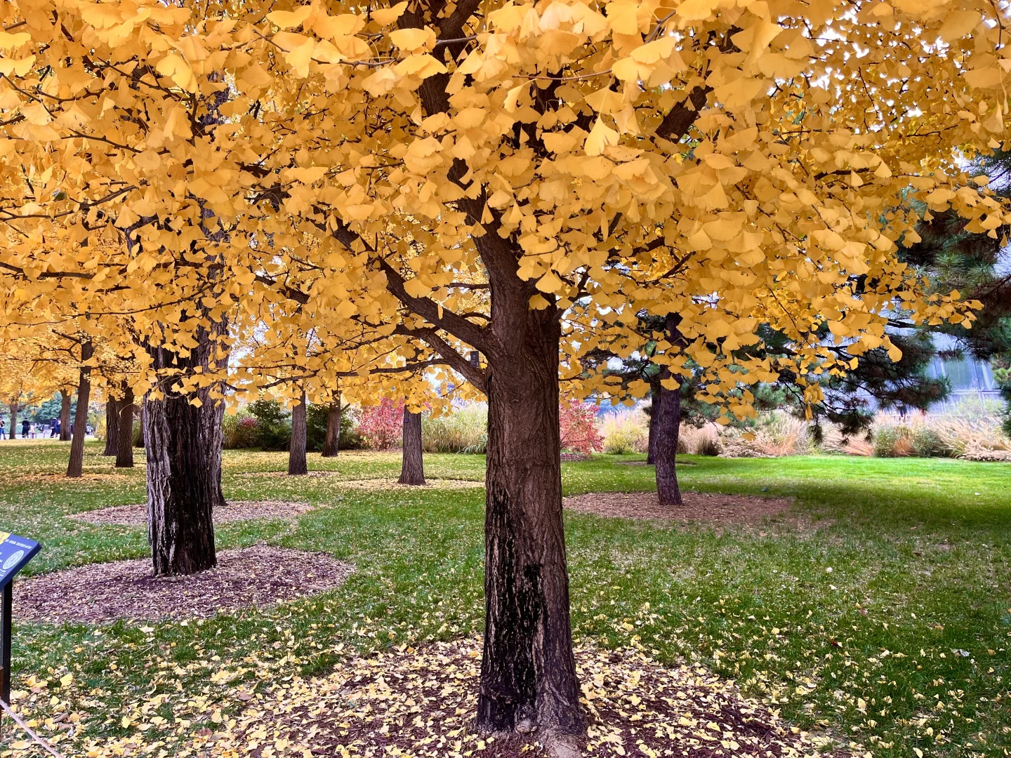 北京，我最推荐的三个公园！