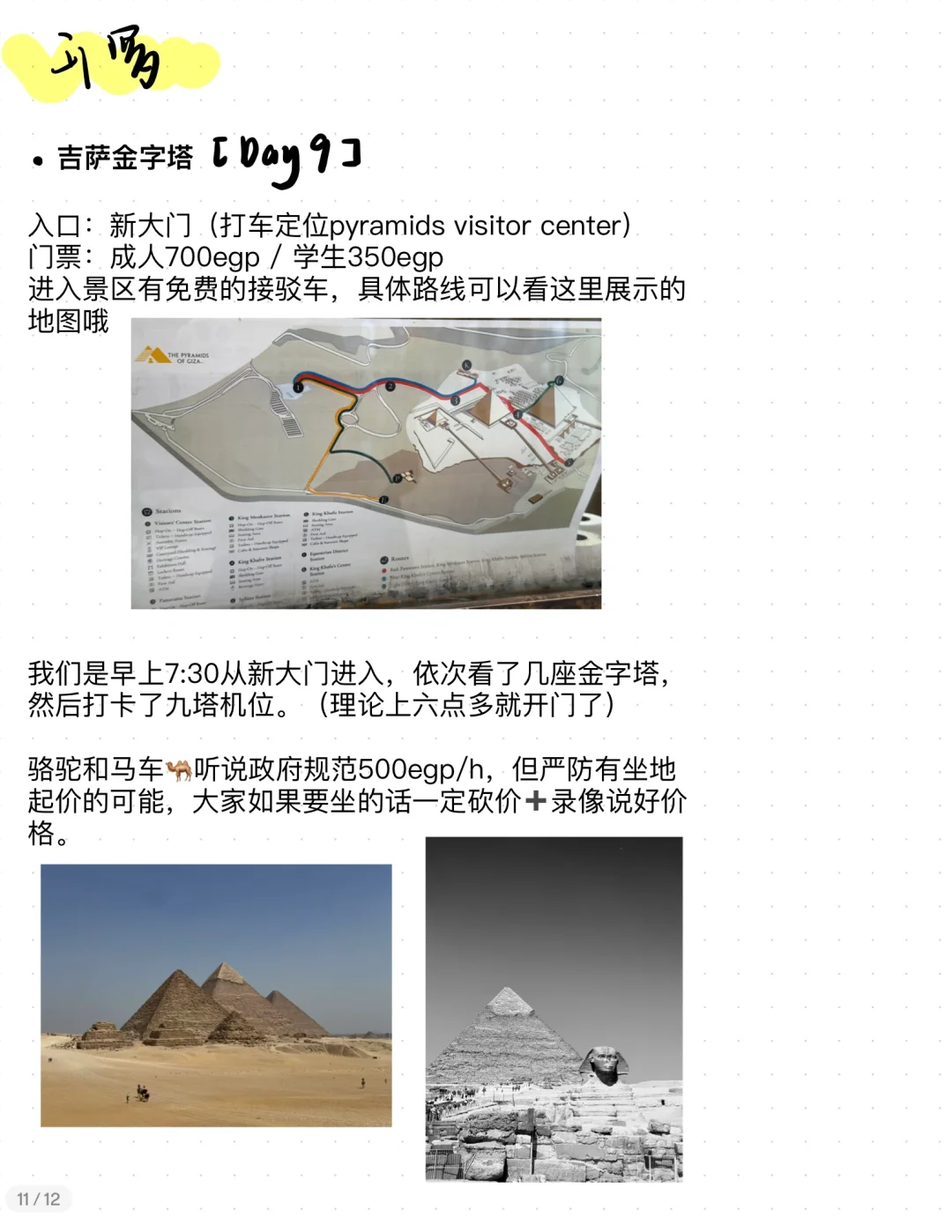 超全攻略🥰来埃及只看这一篇就够了！