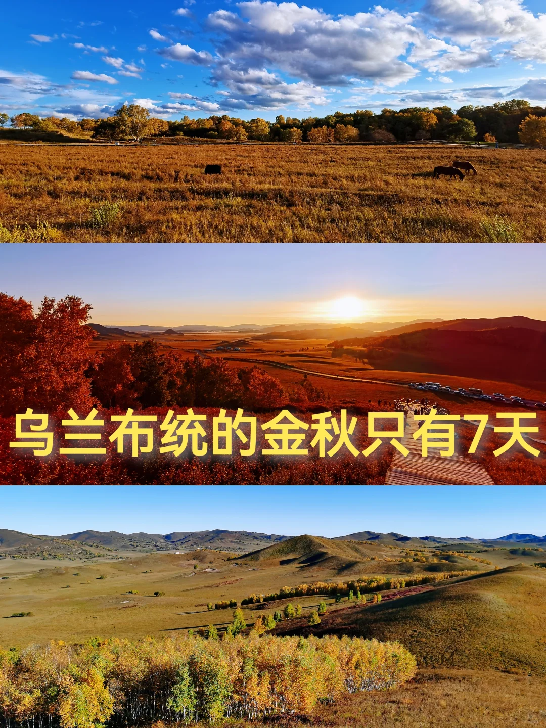 乌兰布统赏秋时间表,赏中国最美秋色!