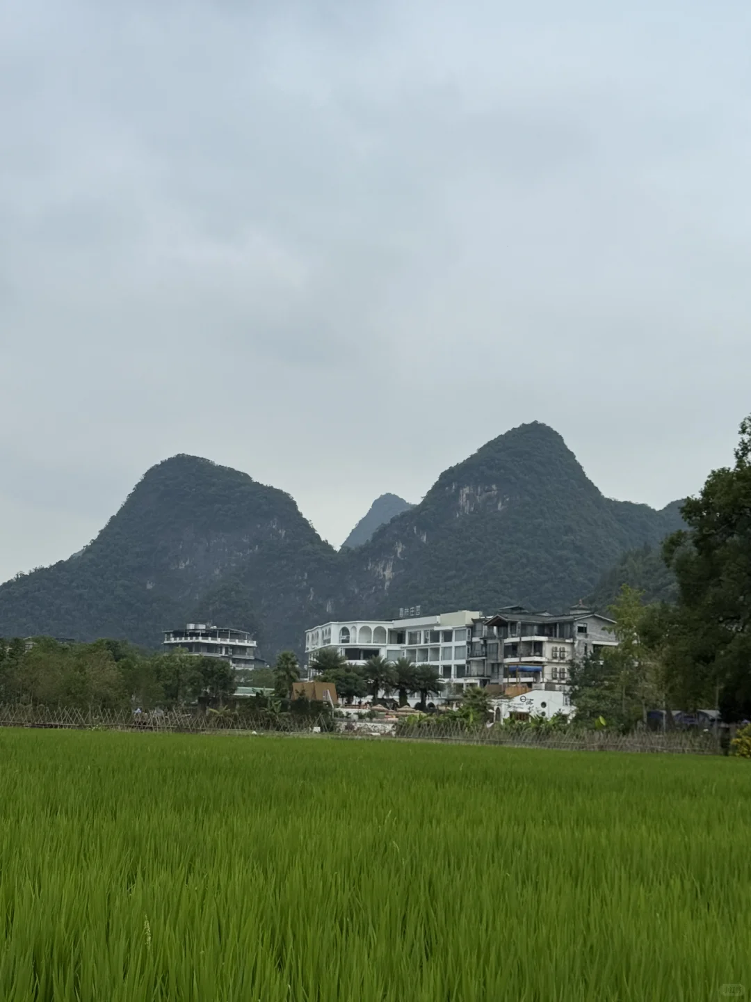 阳朔两天两夜旅游攻略