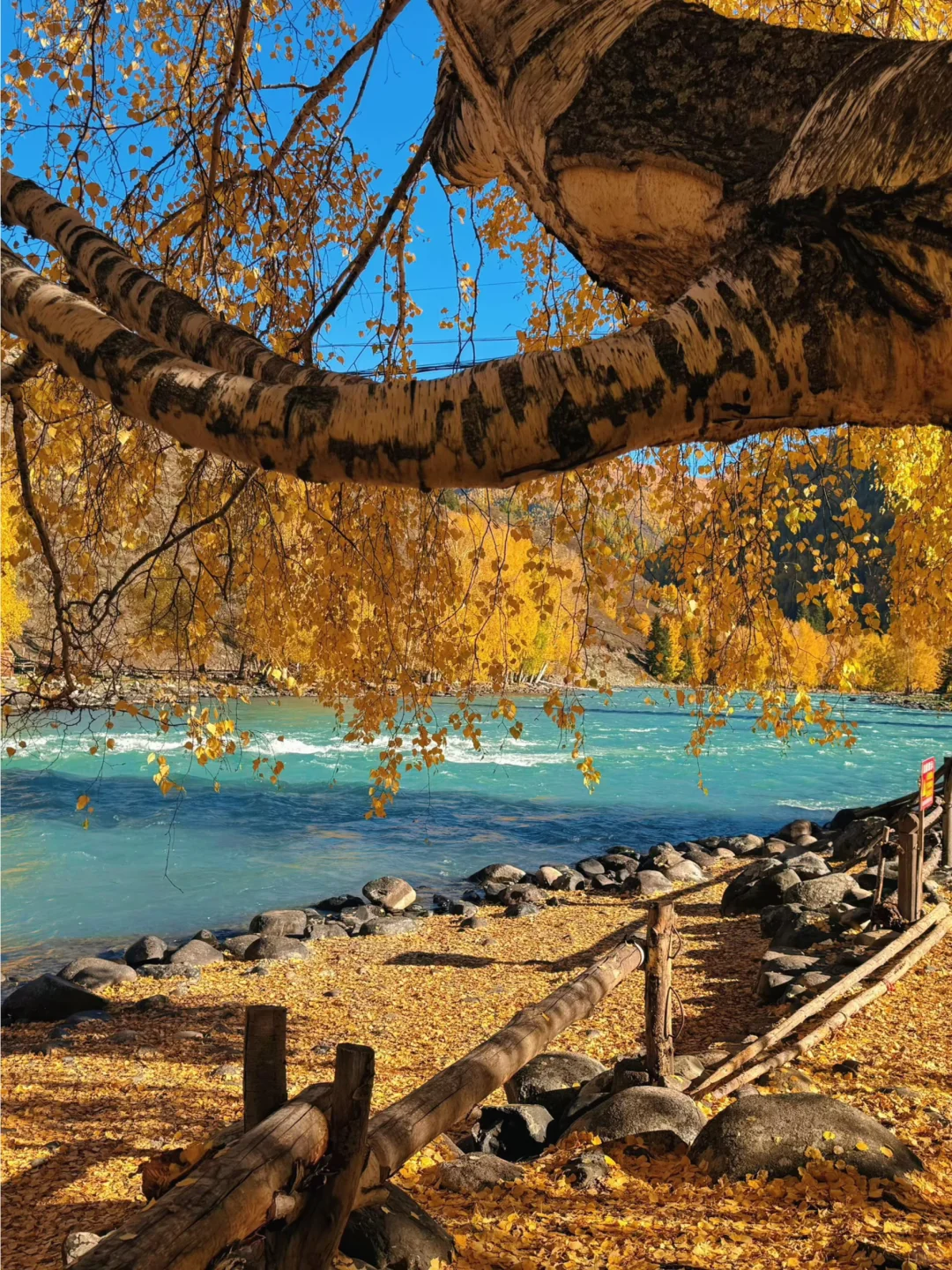 10-11月国内遛娃赏秋🍁不容错过的9大天花板