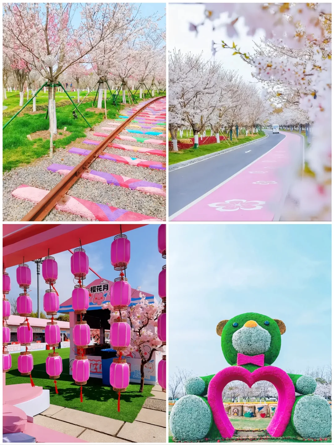 江苏盐城旅游8大景点🌺你去过几个呢❓