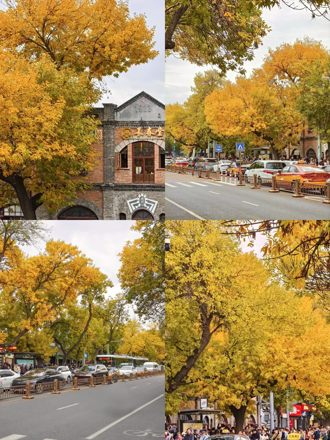 来北京必玩！！！中轴线古建赏秋路线攻略🍂