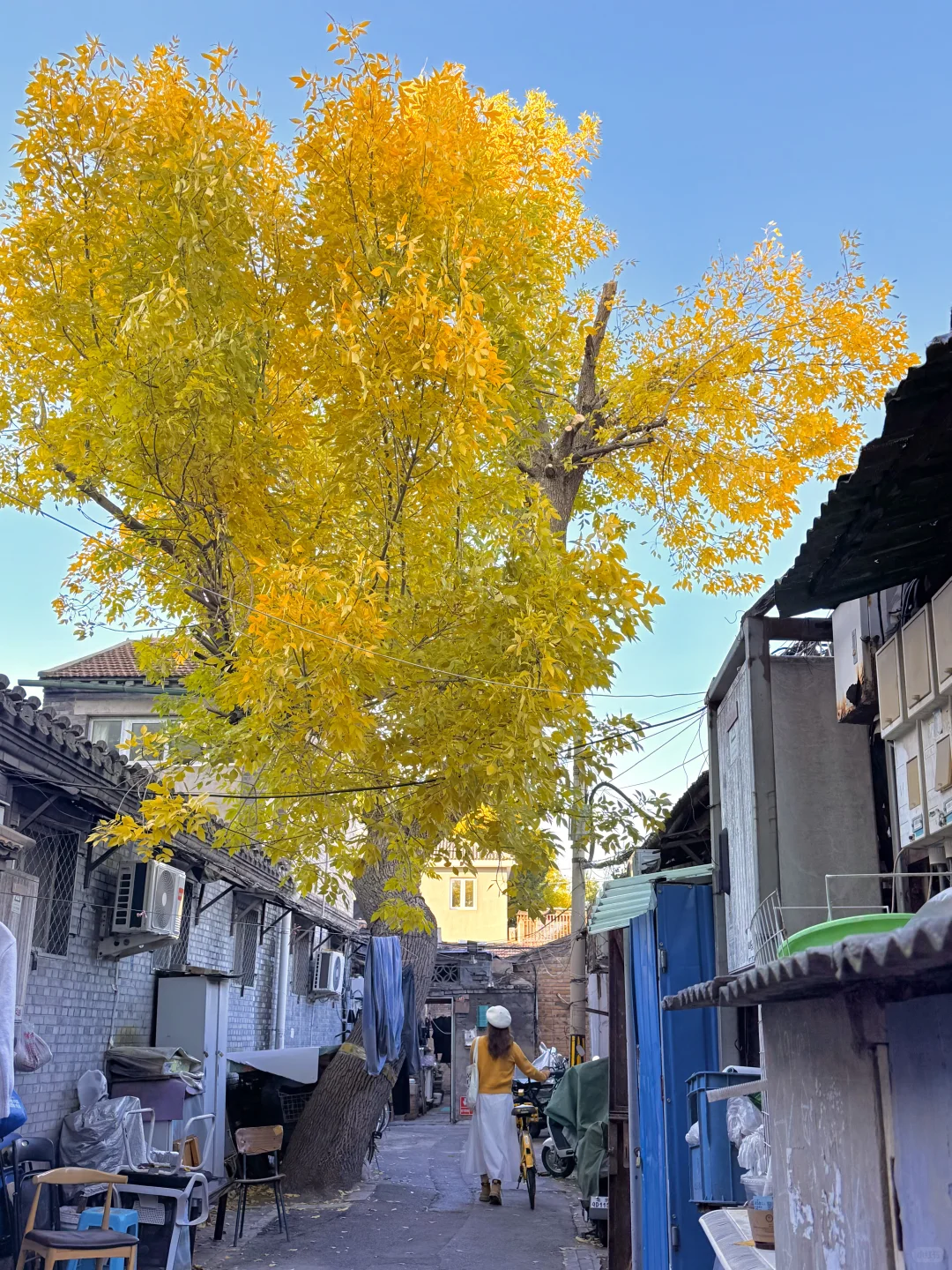 10.19实况🍂北京最新赏秋citywalk路线‼️
