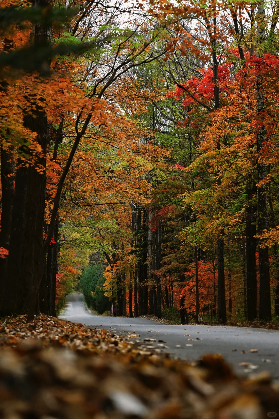 吉林通化龙湾景区游记