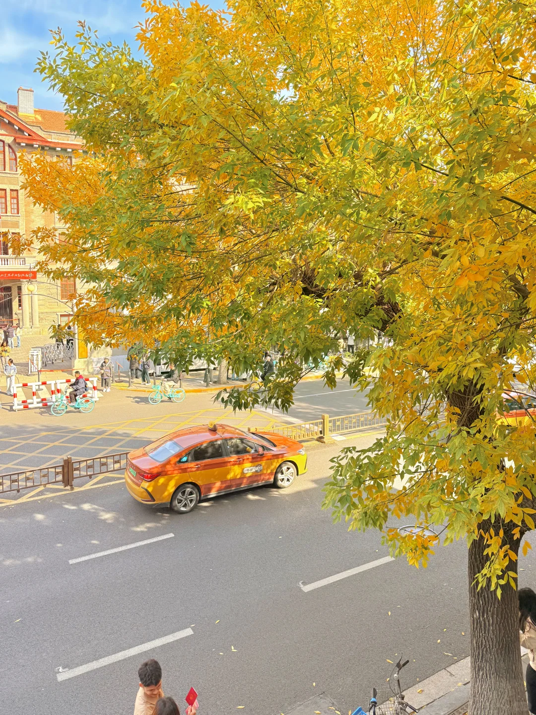 10.19实况🍂北京最新赏秋citywalk路线‼️