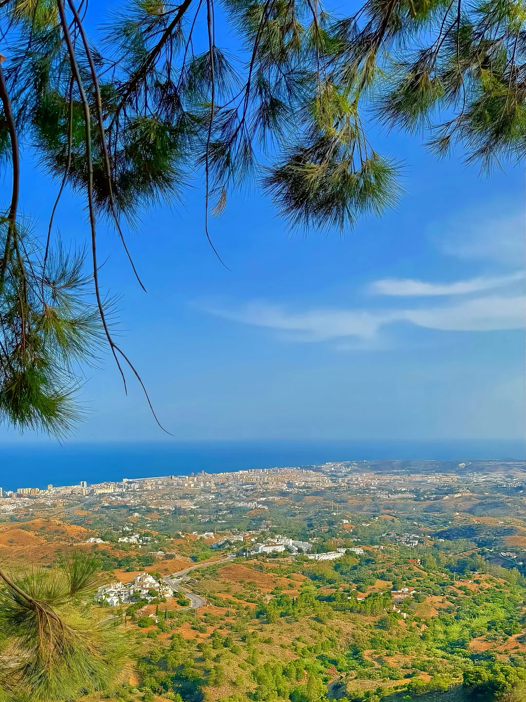 🍊这个秋冬去马拉加过橘子味的夏天！