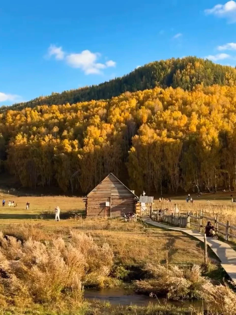 10-11月国内遛娃赏秋🍁不容错过的9大天花板