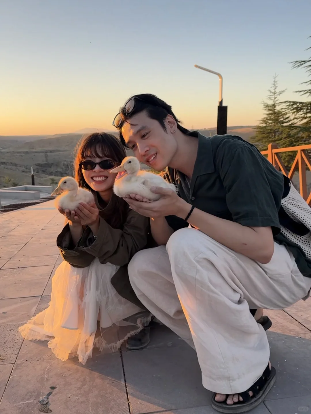 一些撒在土耳其的狗粮🐶