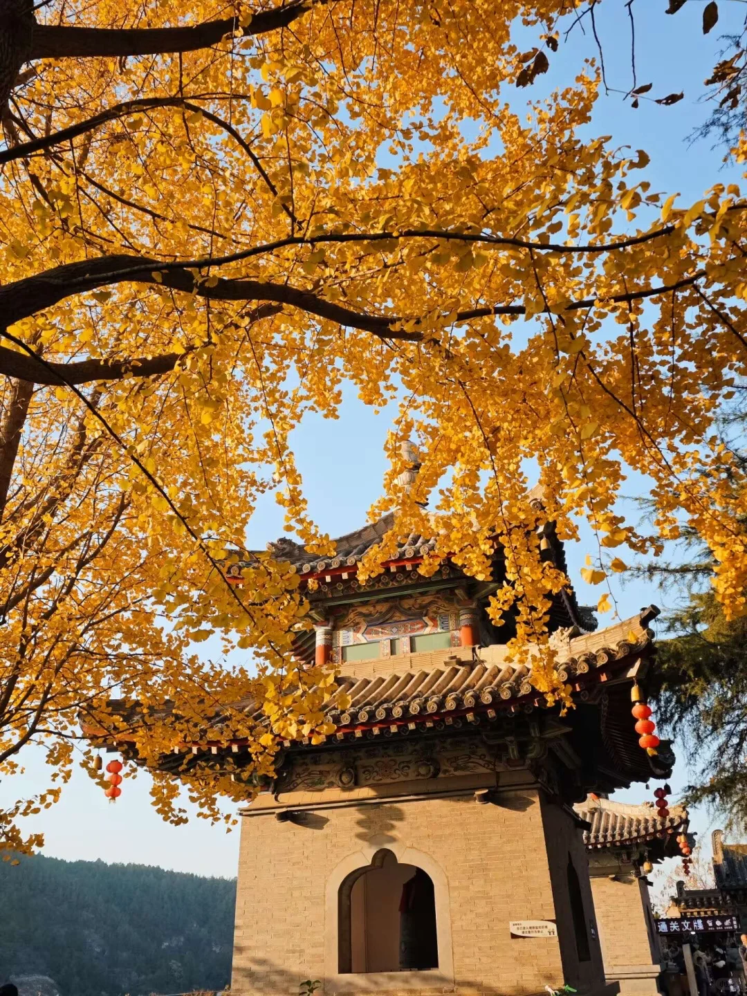 就在11🈷️被问爆的龙门石窟赏秋全攻略来啦