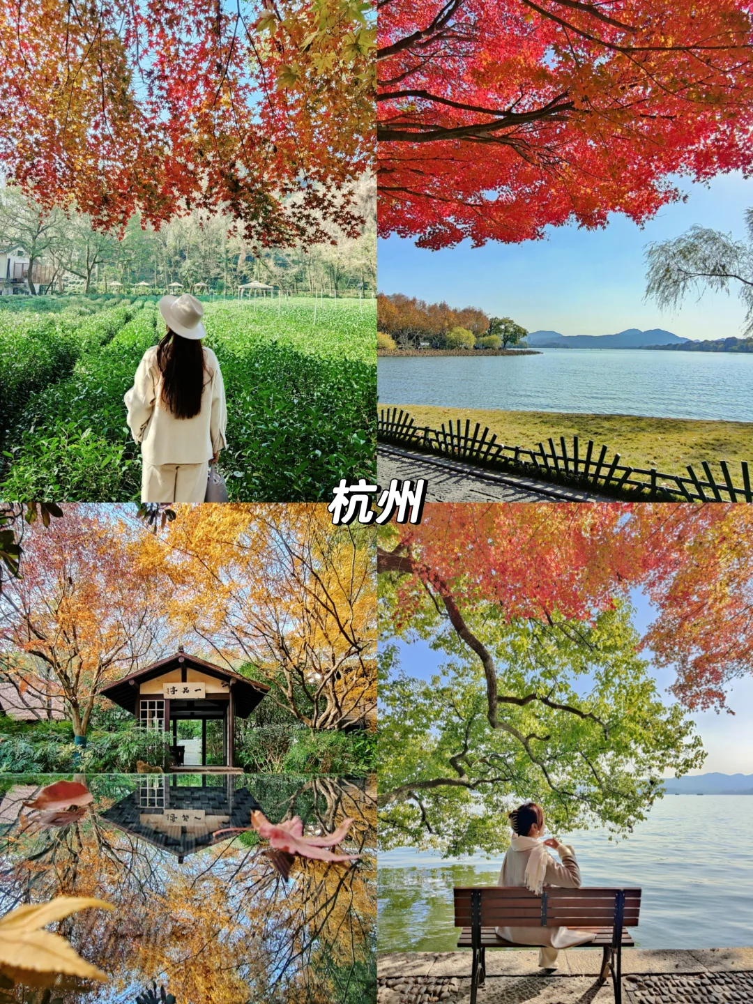 🍁推荐国内10个绝美赏秋旅行地 🍂