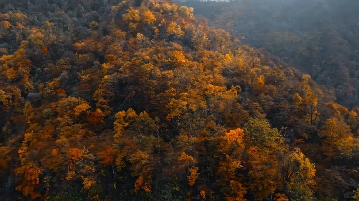 2025神农架赏秋最佳时间