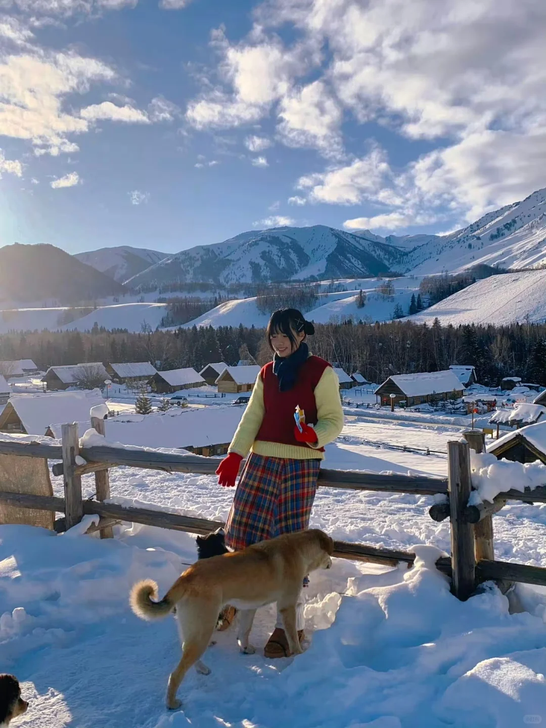 冬天阿勒泰旅游小记｜出片地点分享