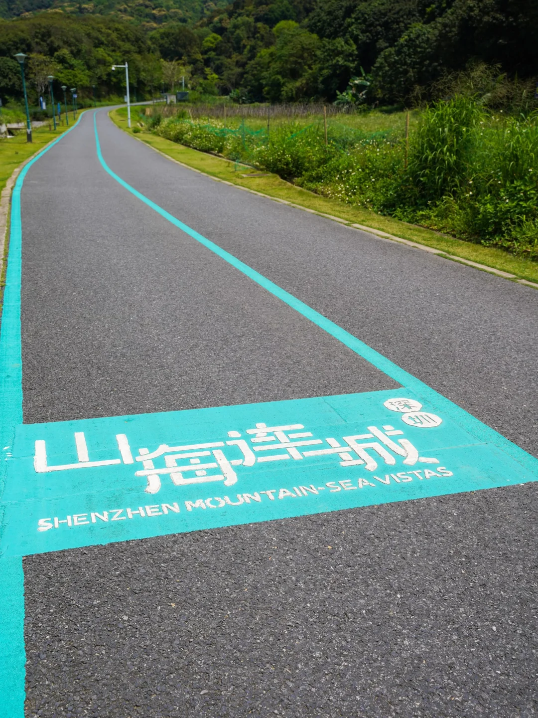 国庆反向游，深圳10个宝藏景点，人少景美免费