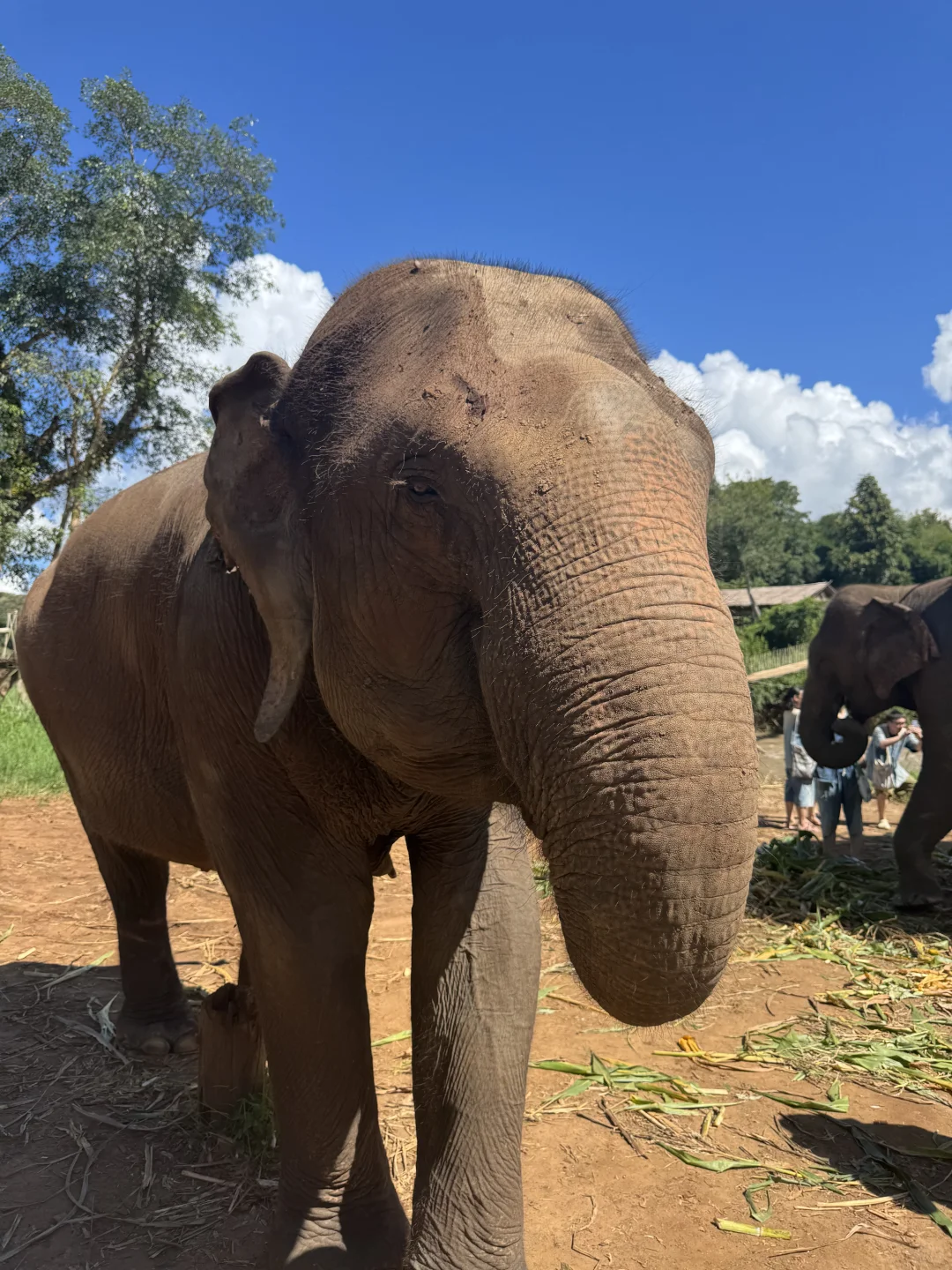 国内外旅游攻略看过来！