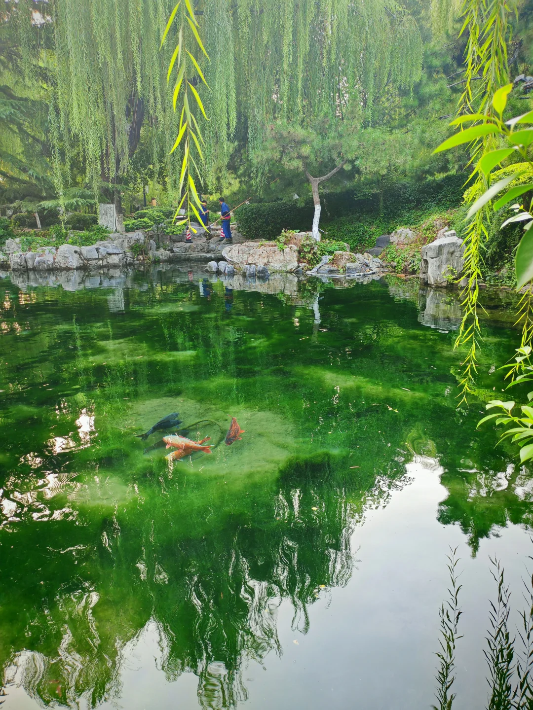 去之前不期待但后劲很大的城市｜看泉一日游