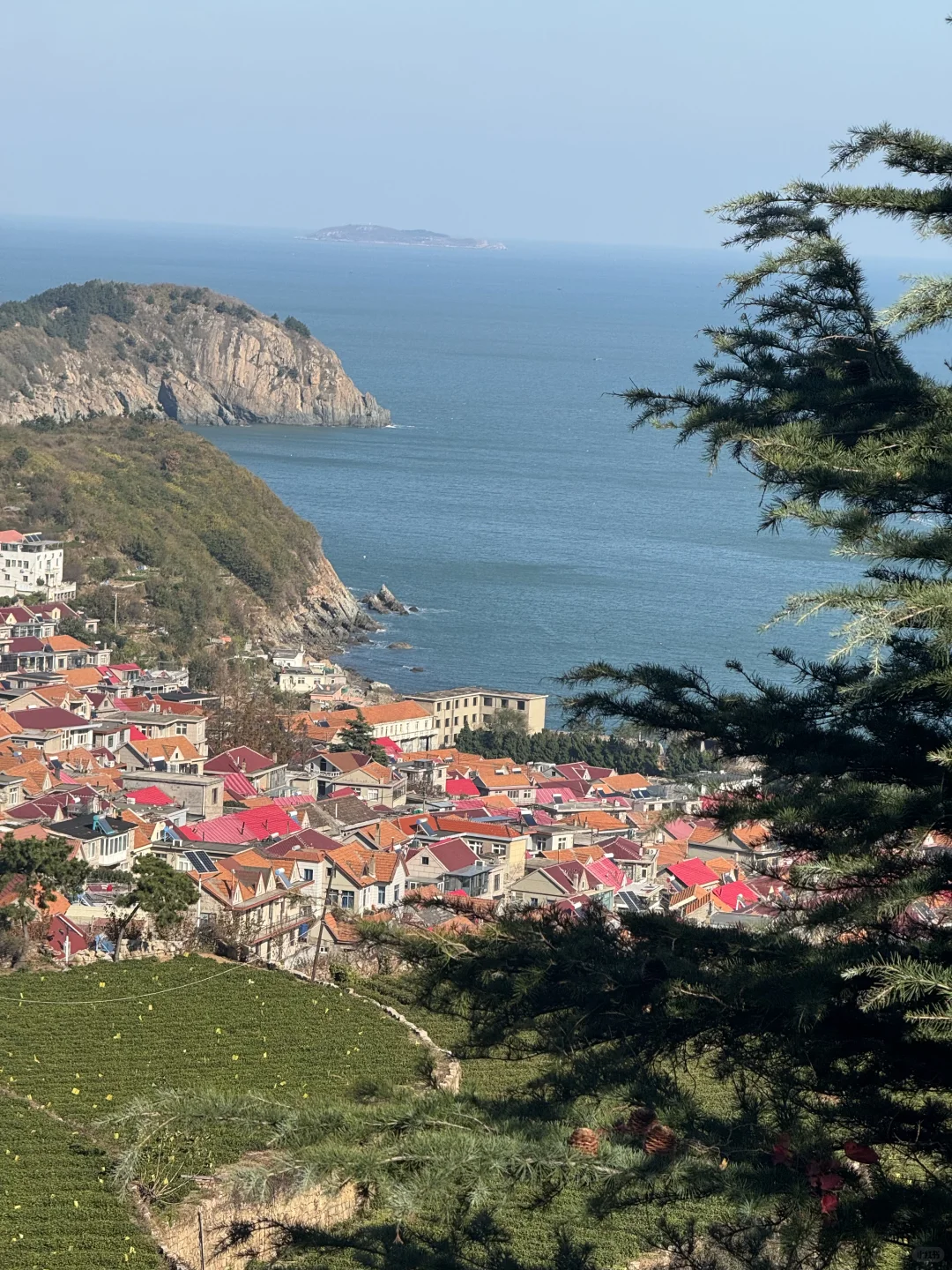 📍青岛日记｜live图实况美到窒息（附机位）！