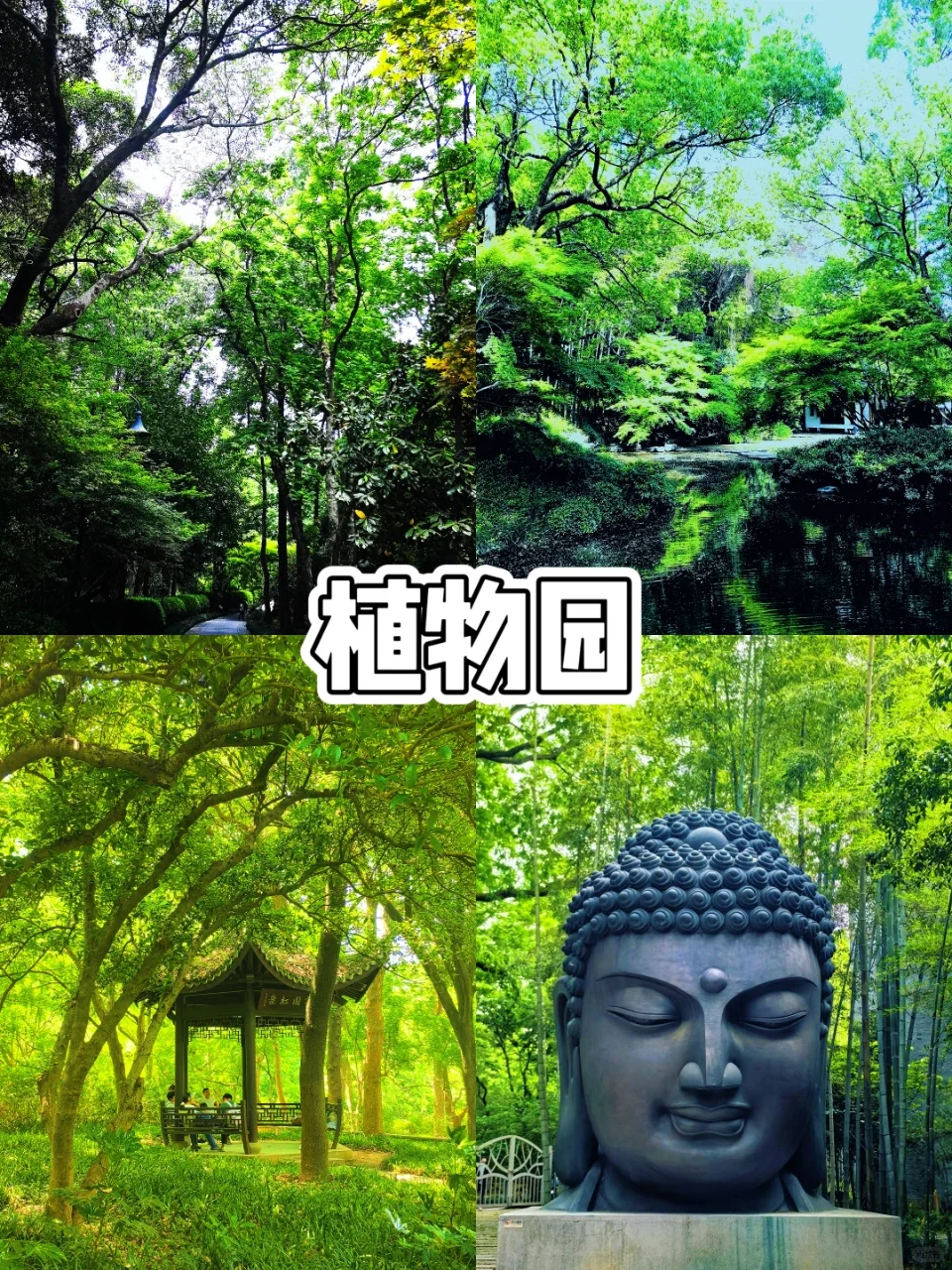 （杭州逛吃）超详细小众旅游路线‼️‼️