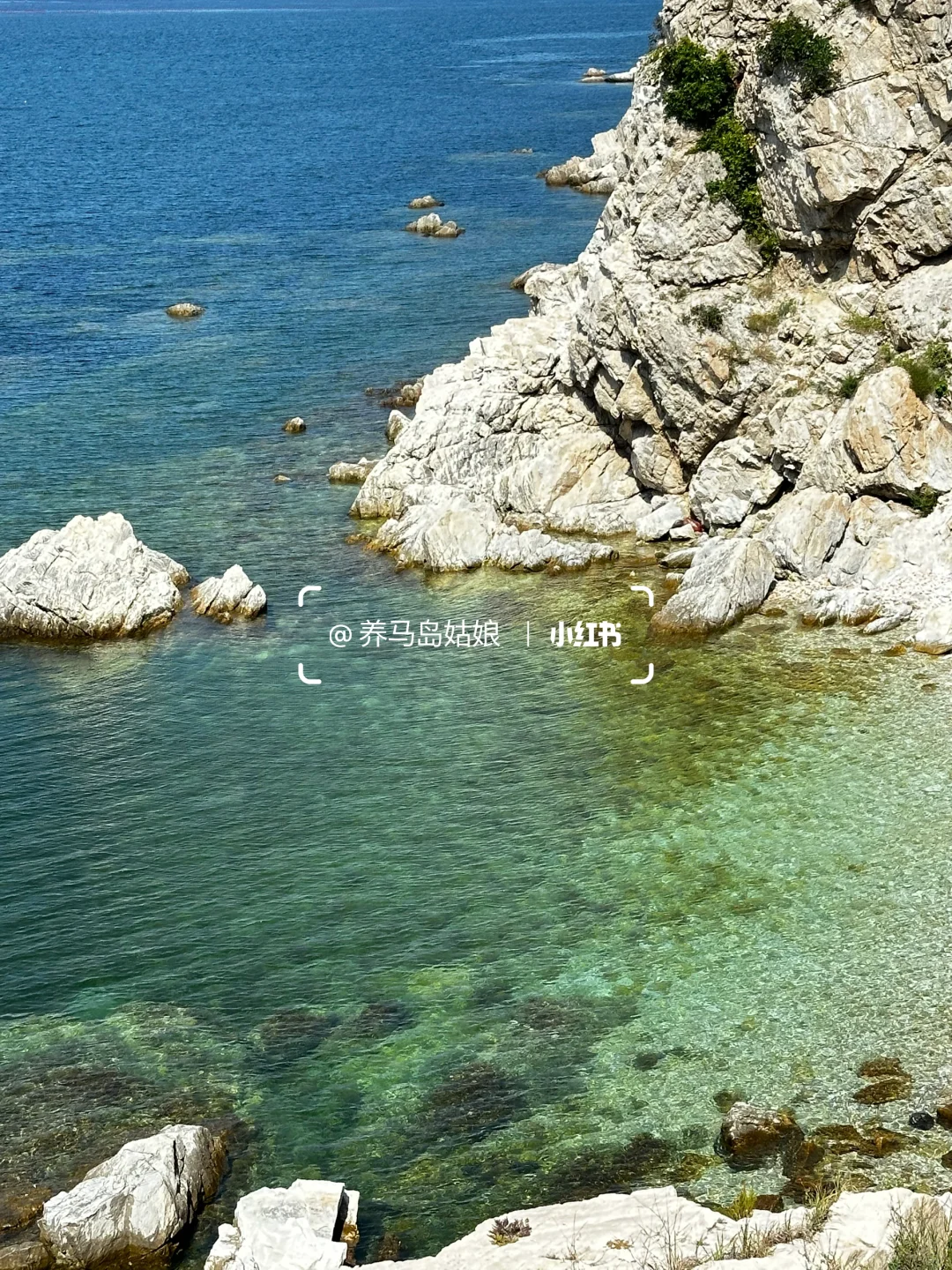 10.30养马岛天气多云☁️8-18度早晚温差大‼️