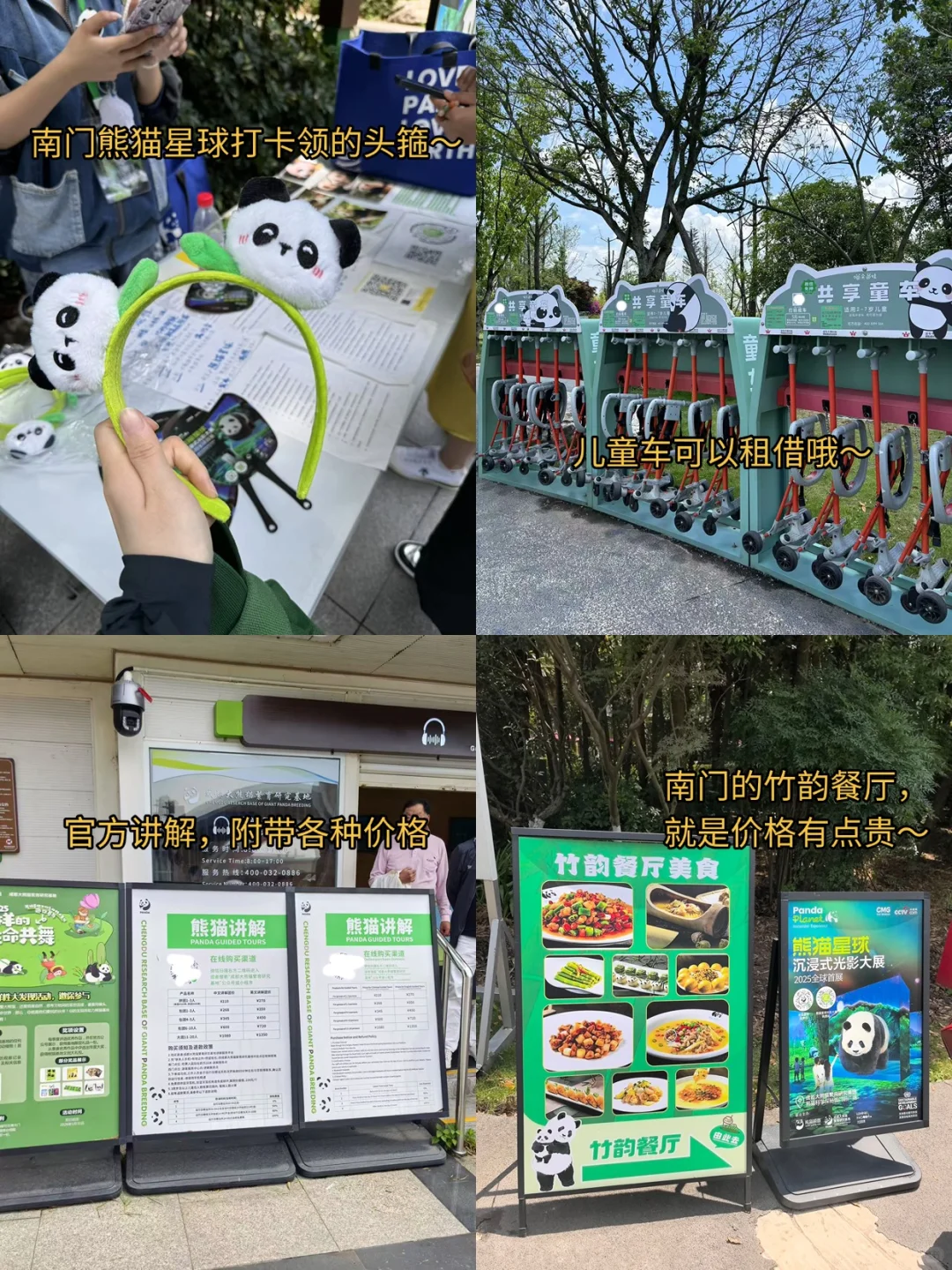 后悔‼️8-9月去熊猫基地🐼一定要做好攻略