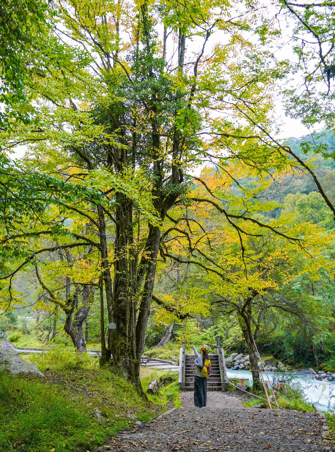 为了这18张图，我特意来了趟喇叭河！附机位
