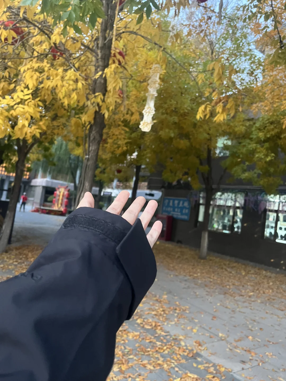 银川小众的旅游景点